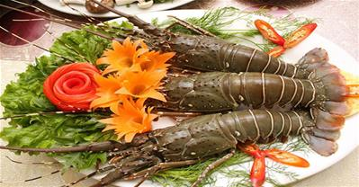qq88 đăng nhập Biển Đông – Phố hải sản tươi sạch từ biển khơi
