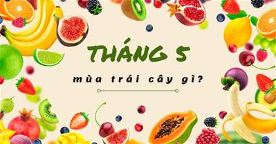 Tháng 5 mùa trái cây gì? 7 loại trái cây NGON NHẤT, cực rẻ, cực dễ mua