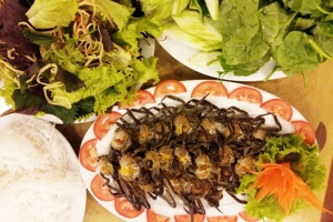 ca-song-toan-thang-ngot-ngao-huong-vi-dong-que-viet-2