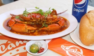 cua-1-cang-360-ly-thai-to-6