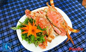 hai-san-bien-dong-3-au-co-slide-3