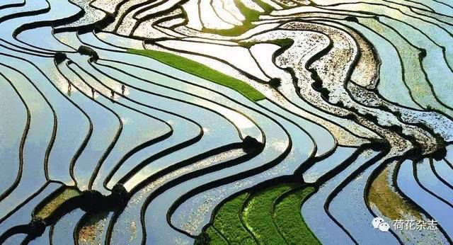nha-hang-chay-an-cafe-pho-tieu-nam-3