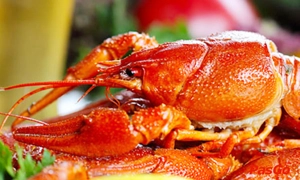 nha-hang-cua-vang-dat-thanh-5