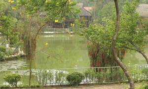 nha-hang-hai-cang-dong-mo-farmstay-9a