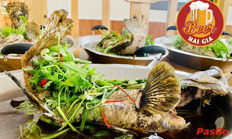 qqq88 Hải Gia Hoàng Quốc Việt 5