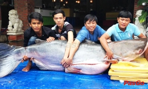 nha-hang-hang-duong-quan-quan-4-1