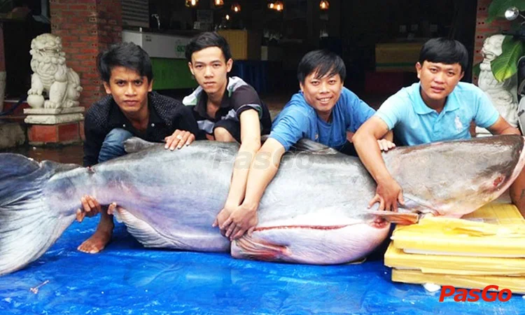 nha-hang-hang-duong-quan-quan-4-1