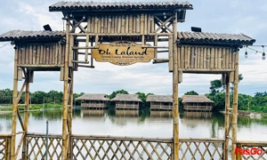 qqq88  OH LaLand Thư Dương 1