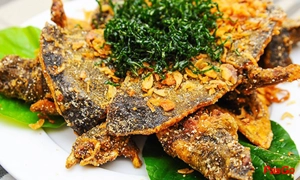 qqq88 Nhất Linh Trung Hòa 3