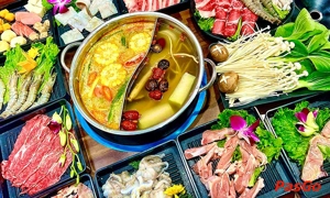 qqq88 Safodi Vũ Tông Phan qq8827 qq88 qq8876.com qq8876 2