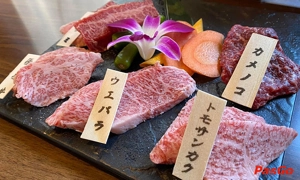 qqq88 Shiba Sushi Phan Xích Long Điểm đến ẩm thực Nhật Bản tuyệt vời 6