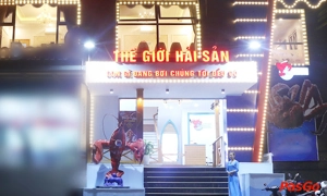 the-gioi-hai-san-thai-thinh-1
