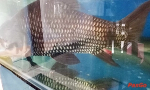 nha-hang-tu-luc-tran-phu-slide-2