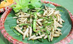 quan-kien-nghi-tam-quan-nhau-con-trung-doc-dao-3