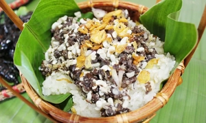 quan-kien-nghi-tam-quan-nhau-con-trung-doc-dao-