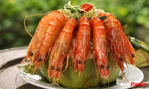 Slide bến bạc 6