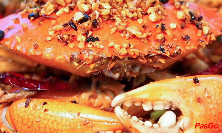 Slide Đại dương 6