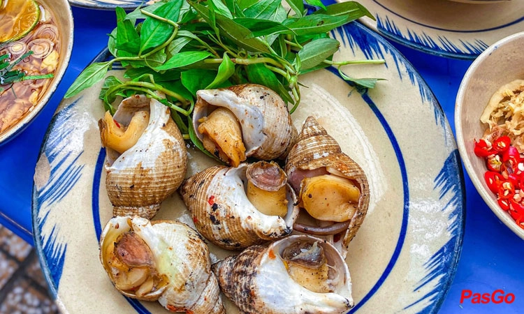 Ốc Bắc Nguyễn Thượng Hiền 7