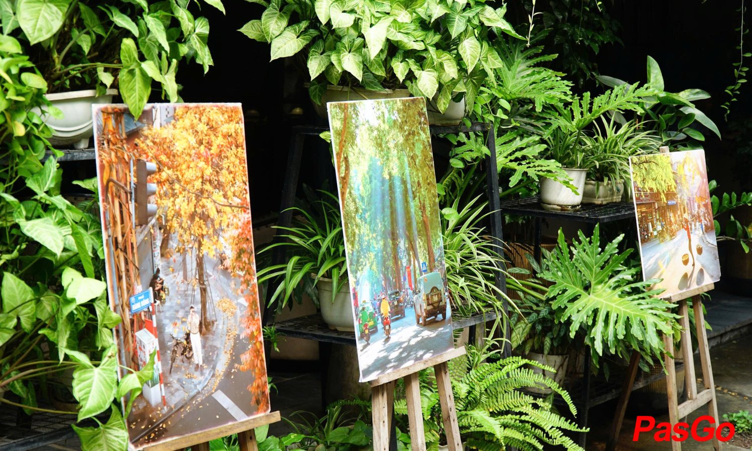 qq8876.com Thảo Viên 12