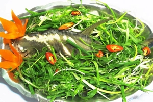 thuy-truc-khong-chi-la-huong-thu-3