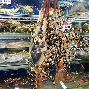 qq88 đăng nhập Biển Đông Ngô Thì Nhậm