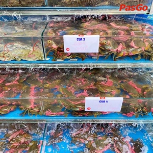 qq88 đăng nhập Quảng Ninh Đại Cồ Việt