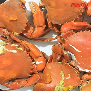 qqq88 Tươi sống Phú Thành Đỗ Bí