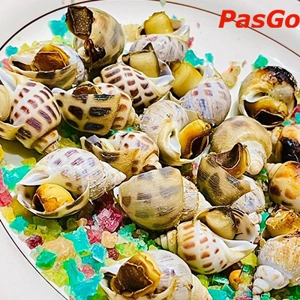 qqq88 Bà Cô Lốc Cốc Trần Cao Vân
