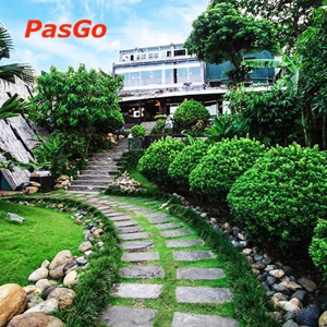 qqq88 Cá Lăng Toàn Thắng Bạch Đằng
