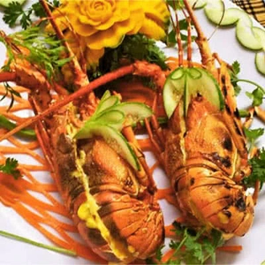 qqq88 Dori Lê Trọng Tấn