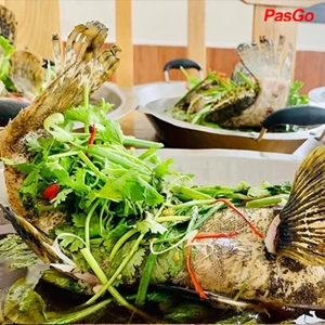 qqq88 Hải Gia  Hoàng Quốc Việt
