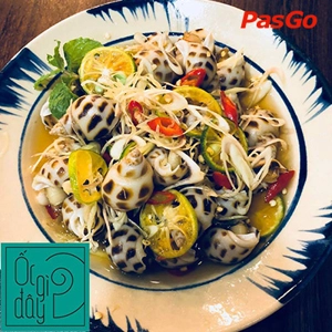 qqq88 Ốc Gì Đây Nguyễn Duy Dương