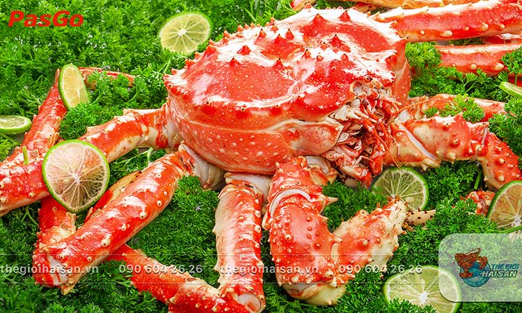 Giảm Giá Các Loại qq88 đăng nhập1