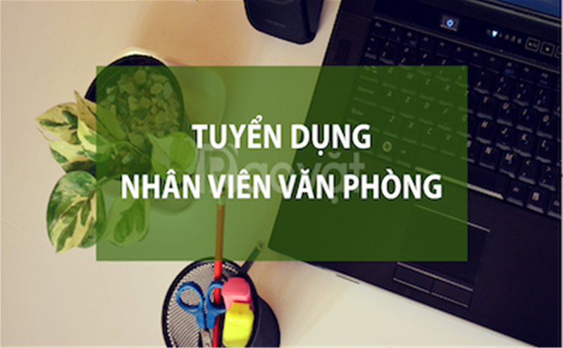 qq8822 tuyển GẤP NV Hành chính Văn phòng Tổng hợp - Không yêu cầu kinh nghệm